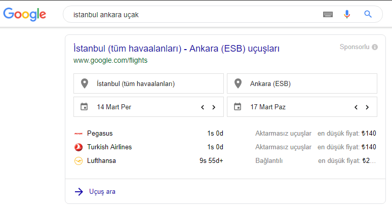 google fligths