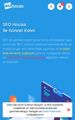 SEOhocası mobil