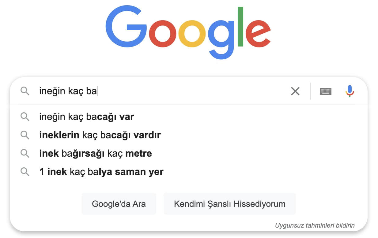 Google Metin Arama