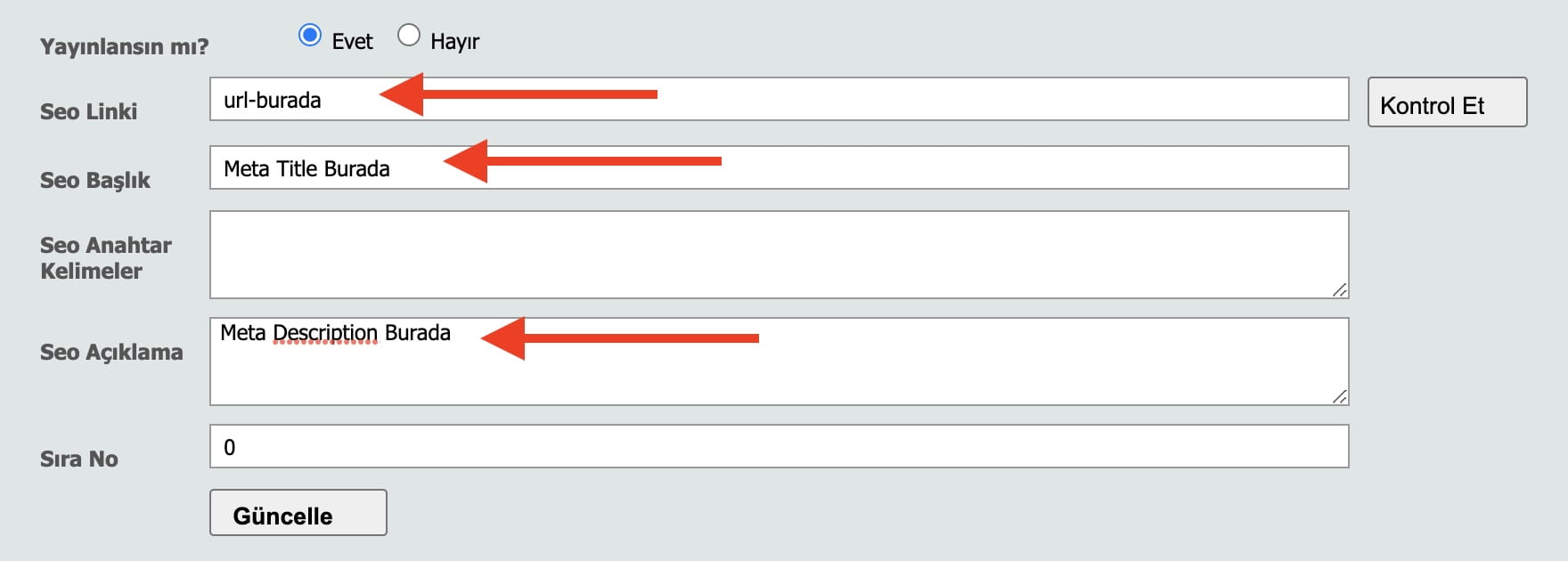 Tsoft uygulamalı SEO 3