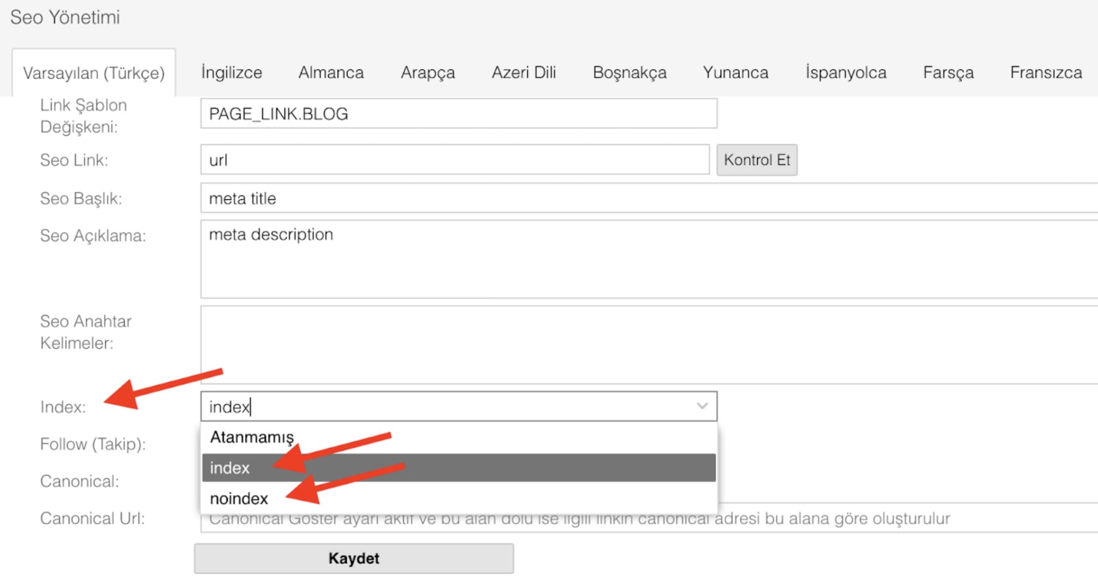 Tsoft uygulamalı SEO 5