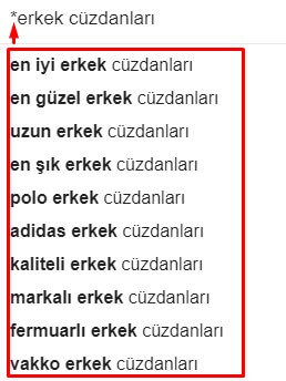Google Otomatik Tamamlama Yıldız Fonksiyonu-3