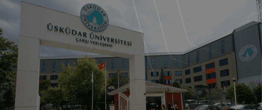 Üsküdar Üniversitesi: 95% Organic Traffic