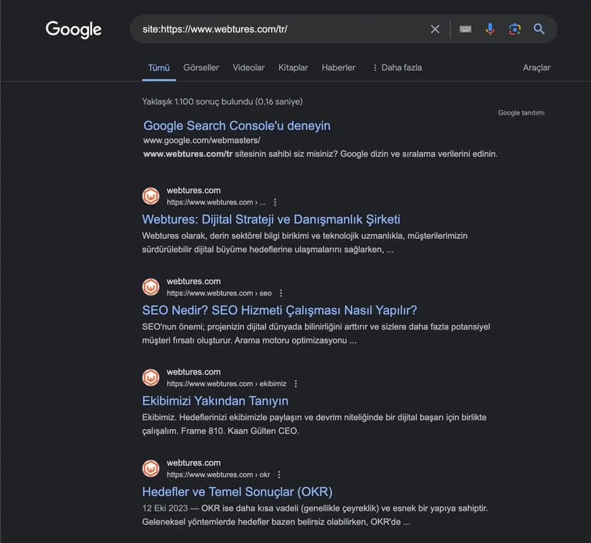 google gelişmiş arama