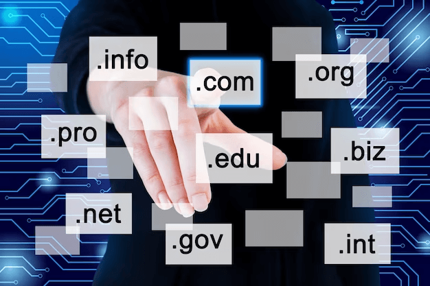 website hosting concept with search bar