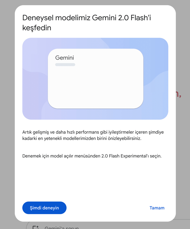 Google Gemini özelliklerini özetleyen görsel