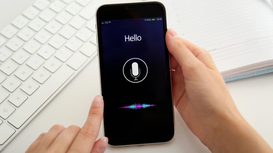 voice search