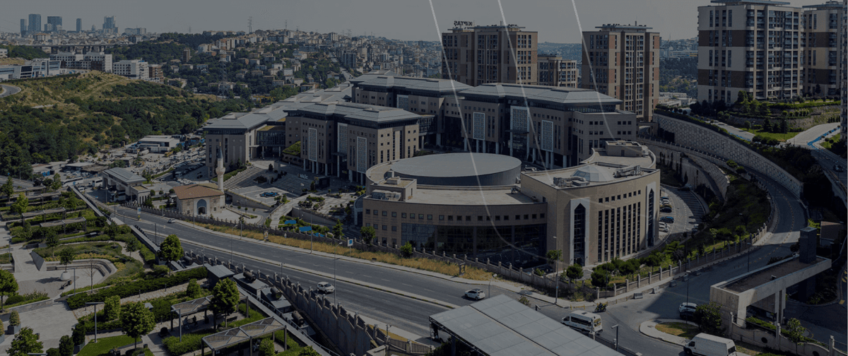 Haliç Üniversitesi: +90.000 Organik Trafik