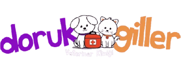 Dorukgiller