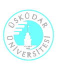 uskudar-1