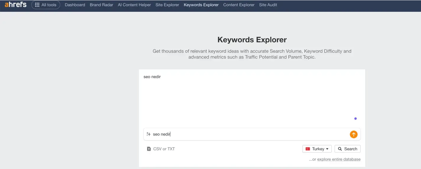 keywords explorer alanı 