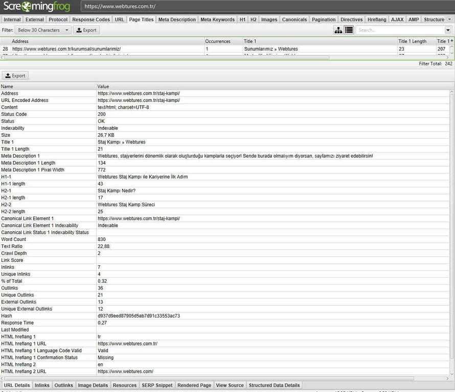 Screaming Frog URL Detayları