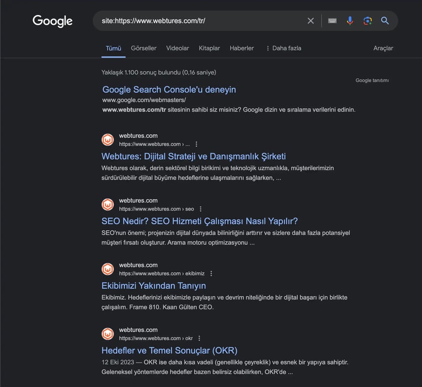 google gelişmiş arama