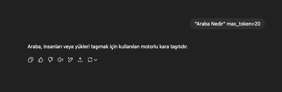 geo prompt örneği