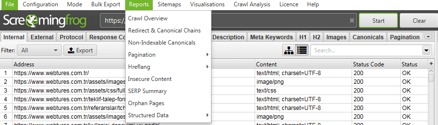 Screaming Frog Reports